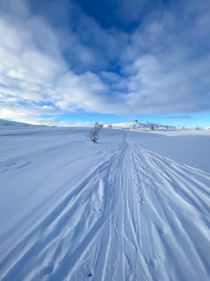 Villa Fin Leilighet Med Flott Beliggenhet Ski In Ski Out Beitostolen Exterior foto