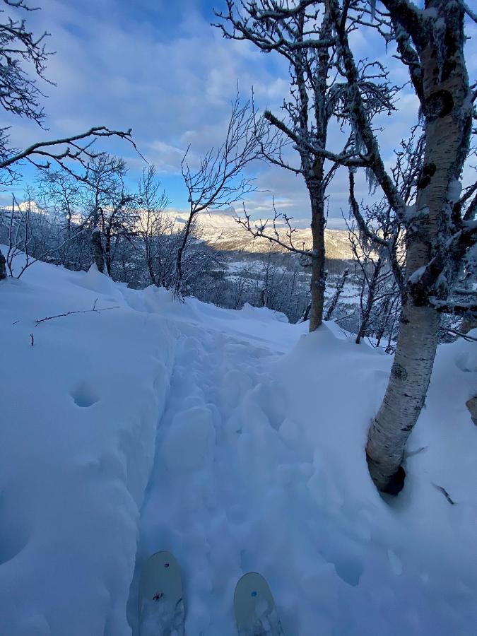 Villa Fin Leilighet Med Flott Beliggenhet Ski In Ski Out Beitostolen Exterior foto